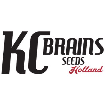 KC Brains wietzaadjes