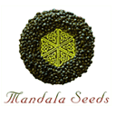 Mandala Seeds wietzaadjes