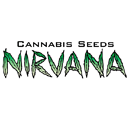 Nirvana Seeds wietzaadjes