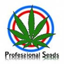 Professional Seeds Professional Seeds wietzaadjes
