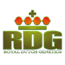 Royal Dutch Genetic Royal Dutch Genetic wietzaadjes
