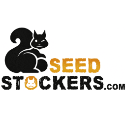 Seedstockers cannabis seeds