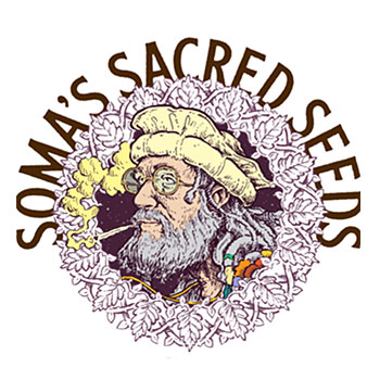 Soma Seeds wietzaadjes