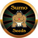 Sumo Seeds wietzaadjes