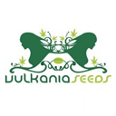 Vulkania Seeds Vulkania Seeds wietzaadjes