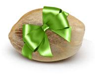 Gefeminiseerde wietzaadjes: Wij verkopen alleen vrouwelijke wietzaden.