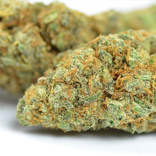 Droge toppen van de Super Silver Haze. Droge toppen van de Super Silver Haze.
