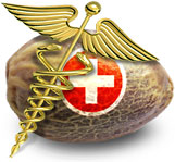 Medicinale cannabis zaden bieden therapeutische mogelijkheden.