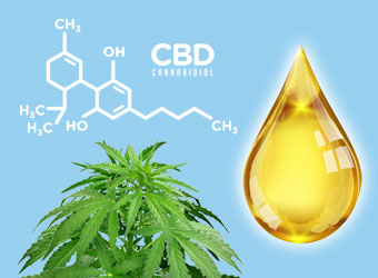 CBD olie maken