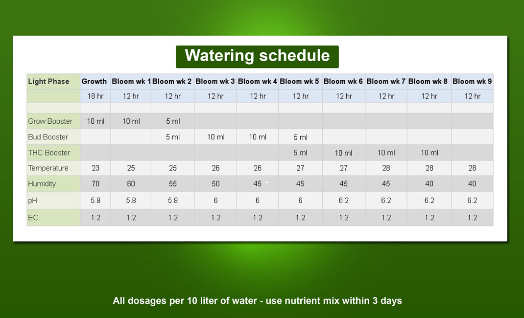 Marijuana Booster Voedingsschema.