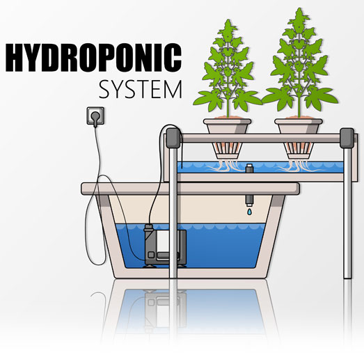 Hydroponic systeem.