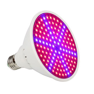 LED kweeklamp. LED kweeklamp.