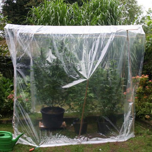 Bescherming tegen de regen met plastic over waslijnen. Bescherming tegen de regen met plastic over waslijnen.