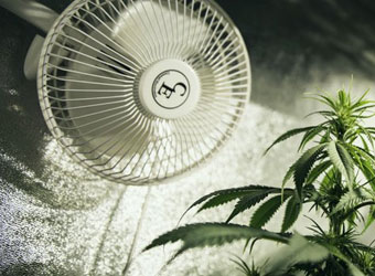 Ventilatie kweekruimte