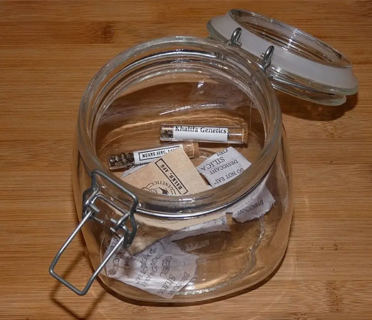 Wietzaadjes in een wekpot met silagel.