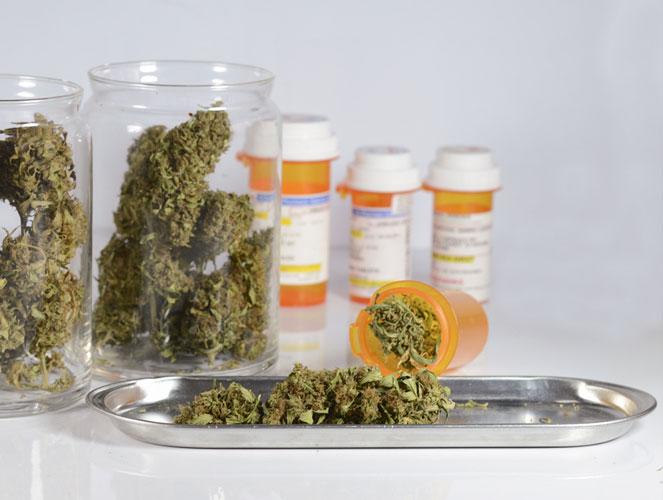 CBD rijke wiet: wietsoorten met een hoog CBD gehalte. CBD rijke cannabis: marihuana soorten met een hoog CBD gehalte.
