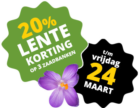 Laat deze kans om goedkoop wietzaadjes te kopen niet lopen!